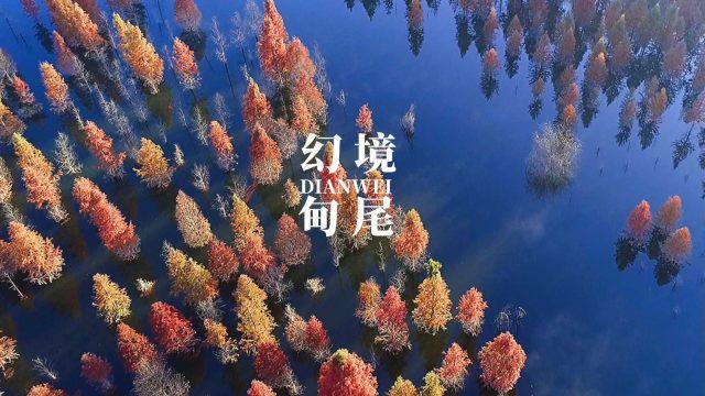 恶灵附身